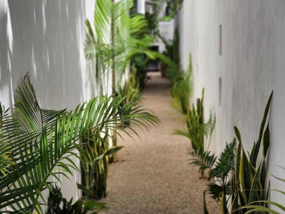 Apartamento Amazing Jungle Retreat Lahkah